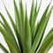 Nearly Natural; 37" UV Resistant Artificial Agave Plant in White Tower Planter (Indoor/Outdoor); Category:Trees & Floor Plants; Image:5